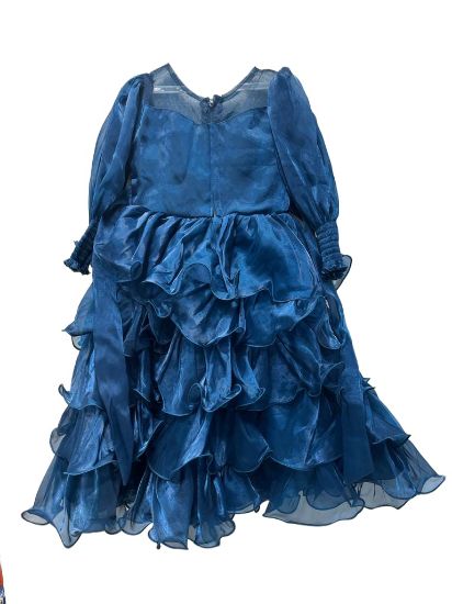 Picture of Smart Kids Dress